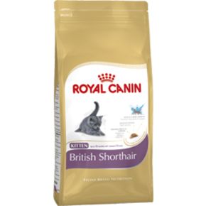 ROYAL CANIN British Shothair KITTEN Корм для британских короткошерстный котят