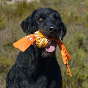 Игрушка канатная с пищалкой для собак Rogz Cowboyz Orange