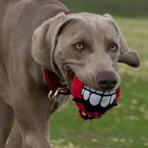 Игрушка мягкая с пищалкой Зубы Rogz Grinz Fluffy