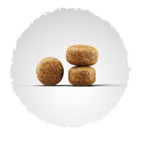 Josera Balance (Senior Medium/Maxi 20/8) Adult - для стареющих собак , и собак с малой активностью