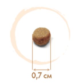 GRANDORF - CAT Meat&Rice PROBIOTIC INDOOR - для взрослых кошек с нормальной активностью из 4 видов мяса с бурым рисом и ЖИВЫМИ ПРОБИОТИКАМИ