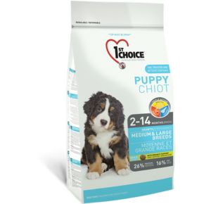 1ST CHOICE Puppy Chiot Medium&Large Breed Chicken