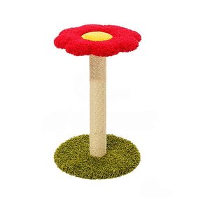 Когтеточка 