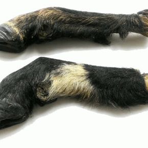 Ноги бараньи сушеные 2 шт. (Бобик Снобик)