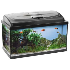Аквариум AQUARIUM SET PAO 100 CLASSIC 106361