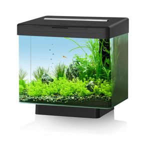 Нано - Аквариум Vio 40 black Int. 20040