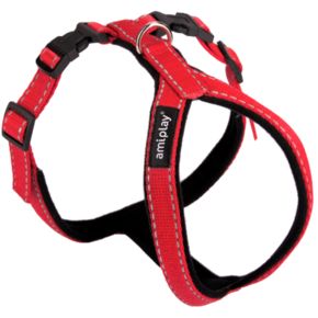 AMI PLAY Шлейки регулируемые Grand Soft Reflective S max 26 [c] x 34-43 [d] cm