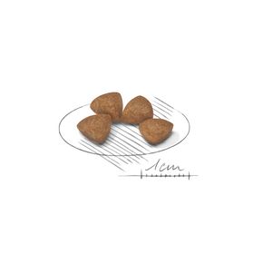 ROYAL CANIN X-Small Puppy сухой корм для щенков миниатюрных размеров от 2 до 10 месяцев
