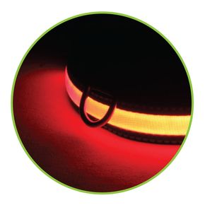 Triol Ошейник светодиодный NIGHT CITY красный, 20*230-310мм