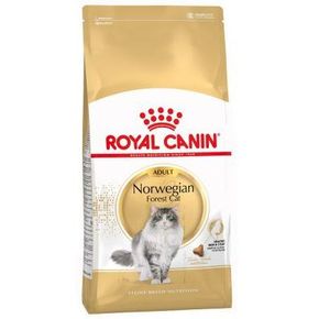 ROYAL CANIN Norwegian Forest Cat Adult для Норвежской Лесной