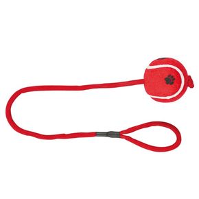 Игрушки TRIXIE мячик на веревке