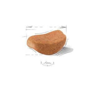 Сухой корм ROYAL CANIN Rottweiler Puppy / для щенков Ротвейлера до 18 месяцев