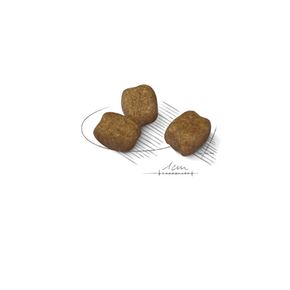 Сухой корм ROYAL CANIN Mini Dental Care - для собак с повышенной чувствительностью зубов
