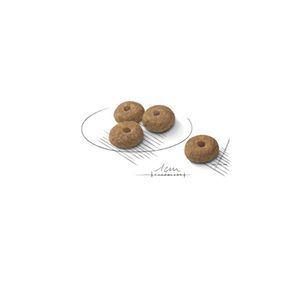 Сухой корм ROYAL CANIN Mini Sterilised