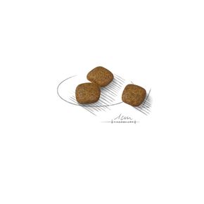 Сухой корм ROYAL CANIN Mini Urinary Care Мини Уринари - для собак с чувствительной мочевыделительной системой