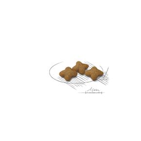 Сухой корм ROYAL CANIN X-Small Sterilised
