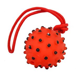 Игрушка Four Pets 