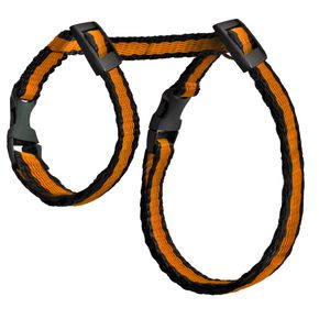 Gamma Комплект шлейка и поводок для морской свинки из капрона Прогулка, 10*1200мм