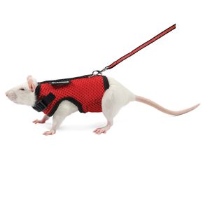 Gamma Комплект шлейка и поводок для крысы Лариска, 160*230мм