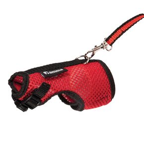 Gamma Комплект шлейка и поводок для крысы Лариска, 160*230мм