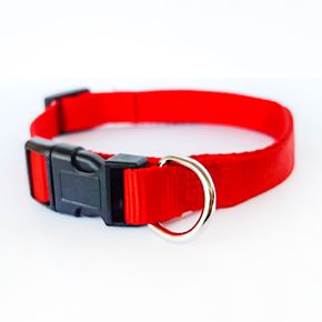 Ошейник For Friends для собак, нейлон L-XL, 40-65см/25мм