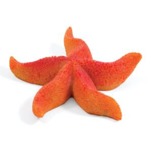 Laguna Звезда морская искусственная 2921LD 