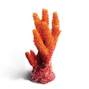 Laguna Коралл искусственный 2912LD 