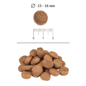 BLITZ Classic Adult Chicken & Rice (Блиц Эдалт Чикен) Курица и рис - корм для взрослых собак всех пород