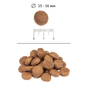 BLITZ Classic Adult Large & Giant Chicken & Rice (Блиц Эдалт Ладж Джиант Чикен) Курица - корм для взрослых собак крупных и гигантских пород пород