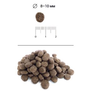 Blitz Holistic Fresh Lamb Adult Dog Small Breeds Low Grain (Блиц Фреш Ламб Смолл Дог) СВЕЖИЙ ЯГНЁНОК — низкозерновой сухой корм для взрослых собак мелких пород