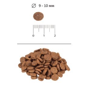 BLITZ Sensitive LAMB - Блиц Сенситив Ламб - сухой корм для взрослых кошек с ягненком