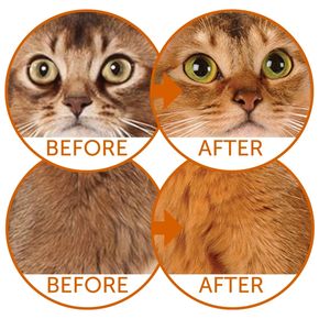 Natures Protection NP SP Superior Care Red Cats Grain Free беззерновой корм для кошек с рыжим, коричневым окрасом