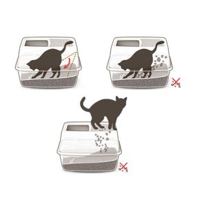 Туалет пластиковый Salto с верхним входом ( 56 x 40 x 38 см)