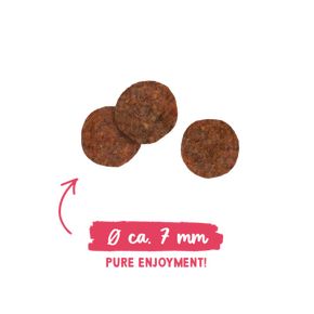 Bosch Sanabelle Adult Chicken & Blueberries (Бош Санабелль Эдалт Чикен) - для взрослых кошек старше года с курицей