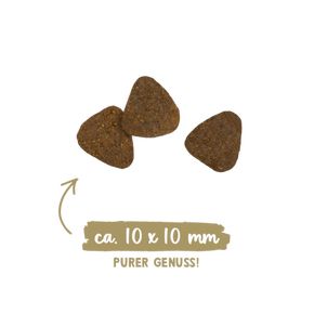 Bosch Sanabelle Hair & Skin (Бош Санабелль Хэа Скин) - для взрослых кошек, для поддержания красоты кожи и шерсти