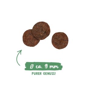 Bosch Sanabelle Sensitive Chicken (Бош Санабелль Сенситив с курицей) - для взрослых кошек, с чувствительным пищеварением