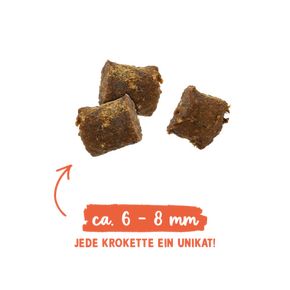 Bosch Sanabelle Juicy Salmon (Бош Санабелль Джуси Салмон) для взрослых кошек с лососем