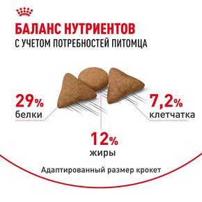 ROYAL CANIN Indoor Appetite Control (Роял Канин Индор Аппетит Контроль) - для кошек живущих в помещении и склонных к перееданию