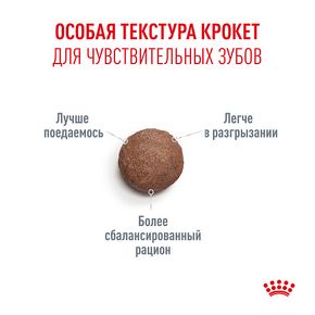 ROYAL CANIN AGEING STERILISED 11+ (Роял Канин Эджеинг Стерилайзд) Корм для стареющих стерилизованных кошек старше 11 лет