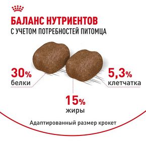 ROYAL CANIN Dental Care Feline (Роял Канин Дентал Кеа) Корм для кошек для профилактики образования зубного налета и формирования зубного камня