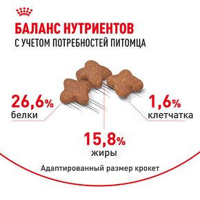 Сухой корм ROYAL CANIN Mini Adult 8+ для взрослых собак мелких размеров (до 10 кг) старше 8 лет