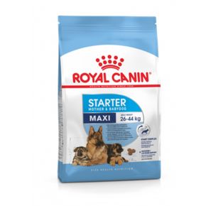 Сухой корм ROYAL CANIN Maxi Starter Mother & Babydog Корм для щенков крупных размеров в период отъема до 2 месячного возраста. Для сук в последней трети беременности и во время лактации.