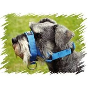AMI PLAY Недоуздок N6/2cm Deutsche Dogger